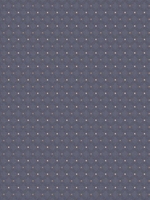 Lifestyles By Color Volume VI Chambray Navy Fabrics