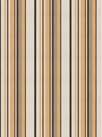 Studio Stripes Fabrics