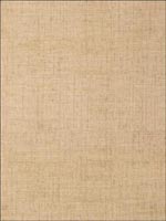 Bankun Raffia Antique Wallpaper 839T6817 by Thibaut Wallpaper for sale at Wallpapers To Go