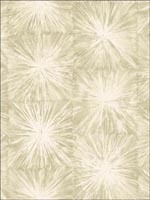 Iverness Wallpaper CB91517 by Seabrook Designer Series Wallpaper for sale at Wallpapers To Go