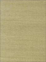 Shang Extra Fine Sisal Moss Wallpaper T41166 by Thibaut Wallpaper for sale at Wallpapers To Go