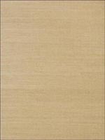 Shang Extra Fine Sisal Doe Wallpaper 839T41173 by Thibaut Wallpaper for sale at Wallpapers To Go
