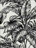 Tropical Leaves Wallpaper SG41400 by Pelican Prints Wallpaper for sale at Wallpapers To Go