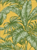Tropical Leaves Wallpaper SG41414 by Pelican Prints Wallpaper for sale at Wallpapers To Go