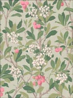 Strawberry Tree Pink and Duck Egg Wallpaper 10010048 by Cole and Son Wallpaper for sale at Wallpapers To Go