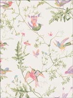 Hummingbirds Soft Multi Color Wallpaper 10014067 by Cole and Son Wallpaper for sale at Wallpapers To Go