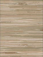 Fine Seagrass Tan Cream Wallpaper 488403 by Patton Wallpaper for sale at Wallpapers To Go