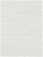 Extra Fine Sisal Pearl White Wallpaper 488411 by Patton Wallpaper for sale at Wallpapers To Go