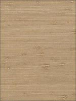 Fine Jute Beige Wallpaper 488429 by Patton Wallpaper for sale at Wallpapers To Go