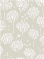Dandelion Taupe Peel And Stick Wallpaper NU1651 by Brewster Wallpaper for sale at Wallpapers To Go