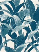 Leaves Tropical Wallpaper AI40302 by Seabrook Wallpaper for sale at Wallpapers To Go