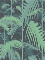 Palm Jungle Green Black Wallpaper 951003 by Cole and Son Wallpaper for sale at Wallpapers To Go