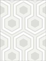 Hicks Grand Dove Grey Wallpaper 956036 by Cole and Son Wallpaper for sale at Wallpapers To Go