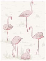 Flamingos Pink White Wallpaper 958045 by Cole and Son Wallpaper for sale at Wallpapers To Go
