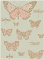 Butterflies and Dragonflies Pink On Olive Wallpaper 10315063 by Cole and Son Wallpaper for sale at Wallpapers To Go