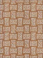 Scribble Camel Multipurpose Fabric GWF3431126 by Groundworks Fabrics for sale at Wallpapers To Go