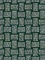 Scribble Seaweed Multipurpose Fabric GWF343130 by Groundworks Fabrics for sale at Wallpapers To Go