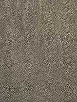 Trophy Silver Upholstery Fabric GWL340611 by Groundworks Fabrics for sale at Wallpapers To Go