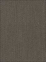 Montauk Cotton Cigar Multipurpose Fabric 201216821 by Lee Jofa Fabrics for sale at Wallpapers To Go