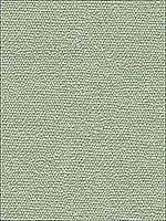 Rhine Linen Pale Grey Upholstery Fabric 201411211 by Lee Jofa Fabrics for sale at Wallpapers To Go