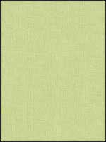 Winfield St Ii Lime Multipurpose Fabric BFC350923 by Lee Jofa Fabrics for sale at Wallpapers To Go