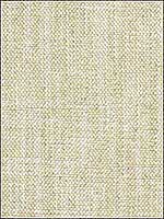 Shelter Champagne Upholstery Fabric 25389116 by Kravet Fabrics for sale at Wallpapers To Go