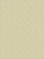 Jentry Shell Upholstery Fabric 279681116 by Kravet Fabrics for sale at Wallpapers To Go