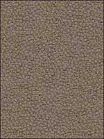 Behold Shale Upholstery Fabric 29838106 by Kravet Fabrics for sale at Wallpapers To Go