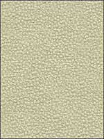 Behold Dawn Upholstery Fabric 298381116 by Kravet Fabrics for sale at Wallpapers To Go
