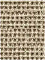 Chardonnet Ficus Upholstery Fabric 30336135 by Kravet Fabrics for sale at Wallpapers To Go