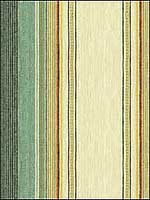 Laxmi Stripe Parakeet Multipurpose Fabric 32906530 by Kravet Fabrics for sale at Wallpapers To Go