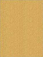 Kravet 33832 616 Upholstery Fabric 33832616 by Kravet Fabrics for sale at Wallpapers To Go