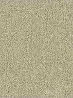 Alpine Wool Fleece Upholstery Fabric 339051611 by Kravet Fabrics for sale at Wallpapers To Go