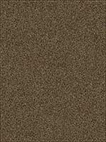 Alpine Wool Sable Upholstery Fabric 339056611 by Kravet Fabrics for sale at Wallpapers To Go