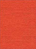 Brightwell Mandarin Upholstery Fabric 3392412 by Kravet Fabrics for sale at Wallpapers To Go
