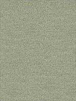 Placid Chenille Dew Upholstery Fabric 33932130 by Kravet Fabrics for sale at Wallpapers To Go