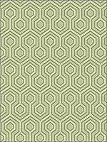 Hexagonal House Mist Upholstery Fabric 3394023 by Kravet Fabrics for sale at Wallpapers To Go