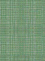 Delancy Jungle Upholstery Fabric 3411235 by Kravet Fabrics for sale at Wallpapers To Go