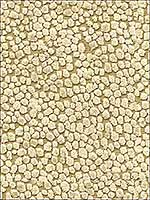 Kori Gold Upholstery Fabric 3413116 by Kravet Fabrics for sale at Wallpapers To Go