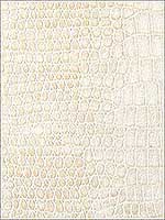 Alli Gold Dust Upholstery Fabric ALLI114 by Kravet Fabrics for sale at Wallpapers To Go