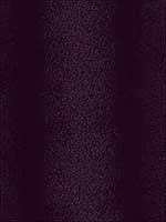 Brina Aubergine Upholstery Fabric BRINA10 by Kravet Fabrics for sale at Wallpapers To Go