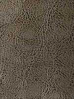 Desi Gunmetal Upholstery Fabric DESI21 by Kravet Fabrics for sale at Wallpapers To Go