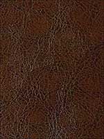 Desi Espresso Upholstery Fabric DESI66 by Kravet Fabrics for sale at Wallpapers To Go