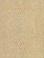 Frosted Wood Birch Multipurpose Fabric FROSTEDWO16 by Kravet Fabrics for sale at Wallpapers To Go