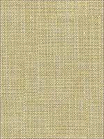 Bacio Safari Upholstery Fabric 324701616 by Kravet Fabrics for sale at Wallpapers To Go