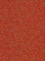 Emilia Papaya Upholstery Fabric 336501219 by Kravet Fabrics for sale at Wallpapers To Go