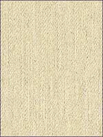 Understated Cement Upholstery Fabric 3117116 by Kravet Fabrics for sale at Wallpapers To Go