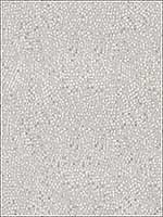 Dazzling Haute Pumice Multipurpose Fabric 33961411 by Kravet Fabrics for sale at Wallpapers To Go