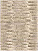 Lele Sand Drapery Fabric 959716 by Kravet Fabrics for sale at Wallpapers To Go