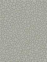 Pebble Grey Wallpaper 1062018 by Cole and Son Wallpaper for sale at Wallpapers To Go